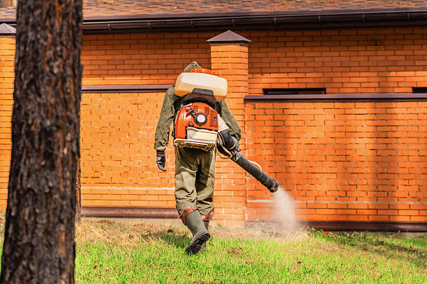 Trusted Bed Bug Control service in Sand Lake, MI - Nex Pest Control